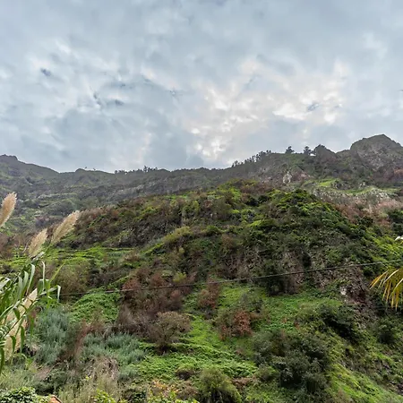 Madeira Paradise * Ribeira Brava