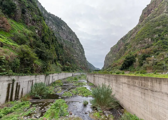 Madeira Paradise ריביירה בראבה