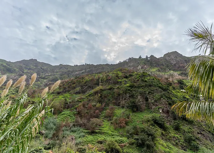 Madeira Paradise * Ribeira Brava